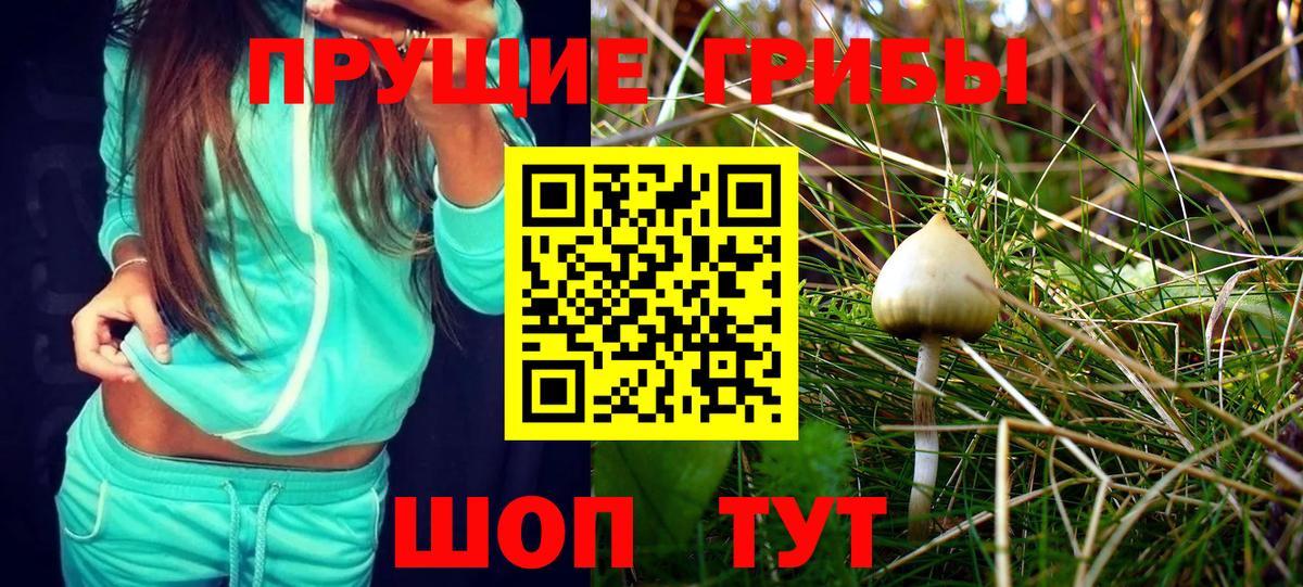 Котовск  где найти наркотики  Вход с VPN  Галлюциногенные грибы Magic Shrooms 