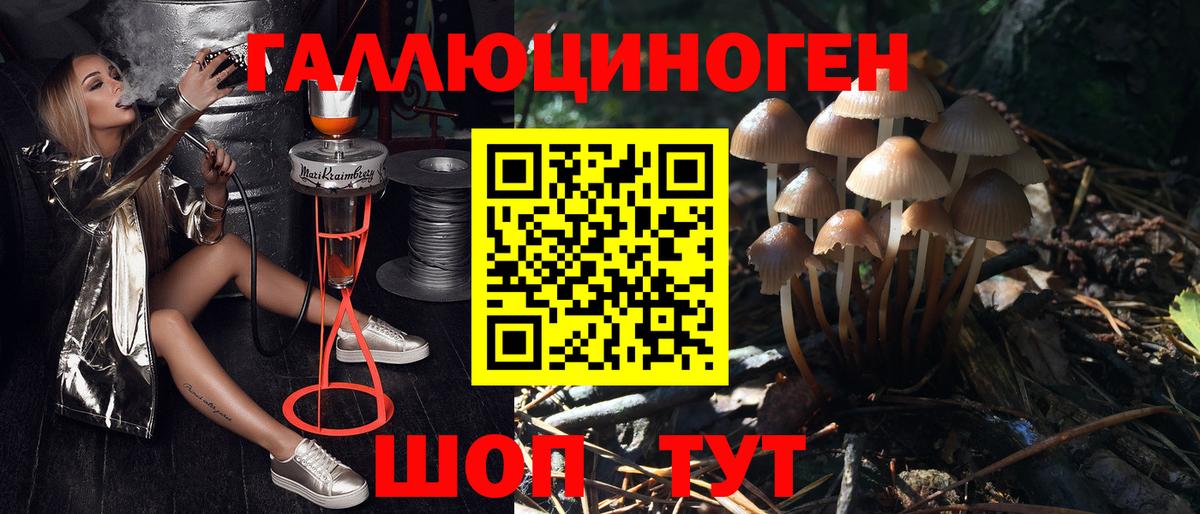 Галлюциногенные грибы мухоморы Котовск